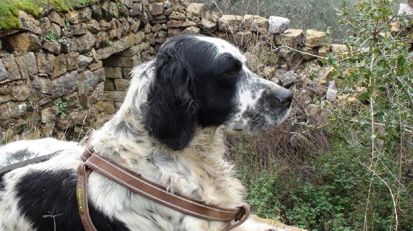 Jack Foto 8